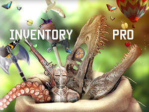 Inventory Pro by Devdog